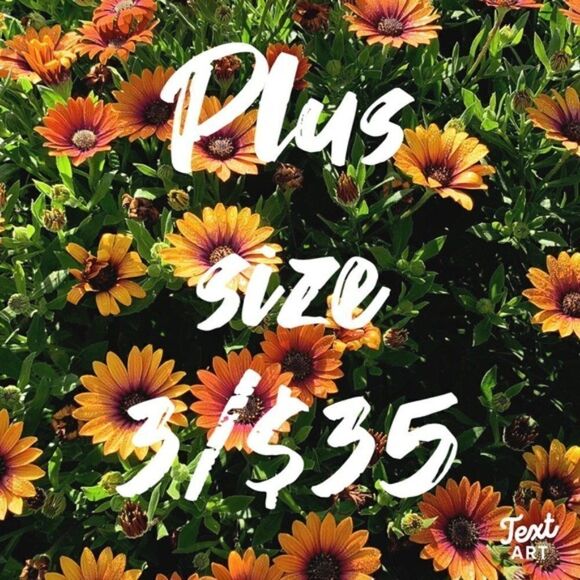 3/$35 Alfani Womens Plus Bermuda Pleated Wide Leg Shorts 18W Black - Picture 12 of 14